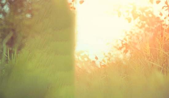 2025年精选唯美心情句子76句