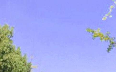 【实用】美好的早安心语朋友圈锦集61条